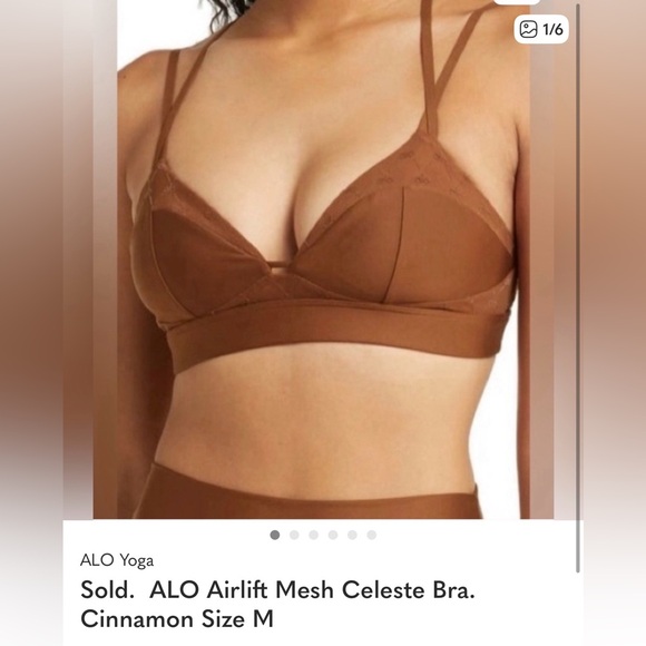 ALO Yoga Other - ALO Airlift Mesh Celeste Bra. Cinnamon Size M